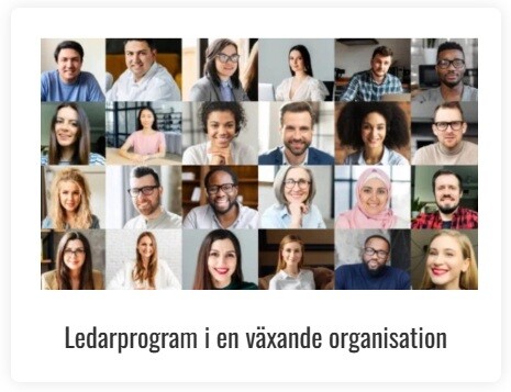 Ledarprogram i en växande organisation