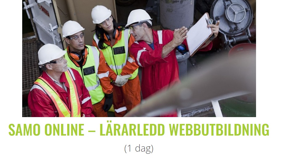 SAMO ONLINE 1 dag-2