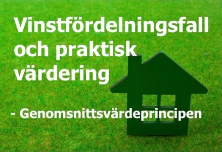 Vinstfördelningsfall
