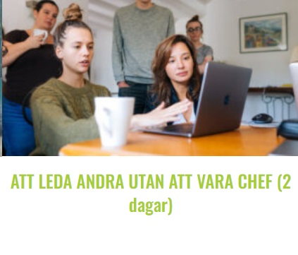 bilden att leda an fy