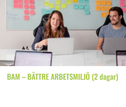 bilden bam 2 dgr