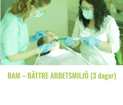 bilden bam 3 dgr