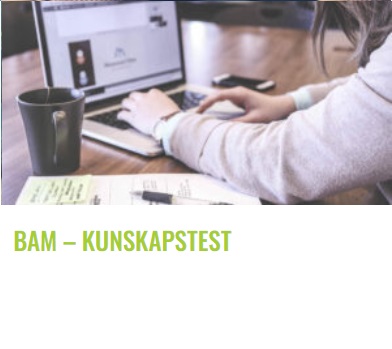 bilden bam kunskap online