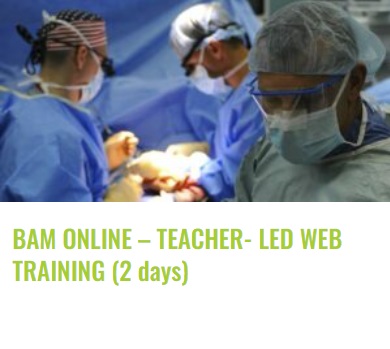 bilden bam online eng
