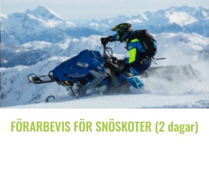 bilden förarbevis