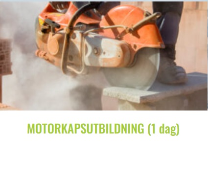bilden motorsåg fys