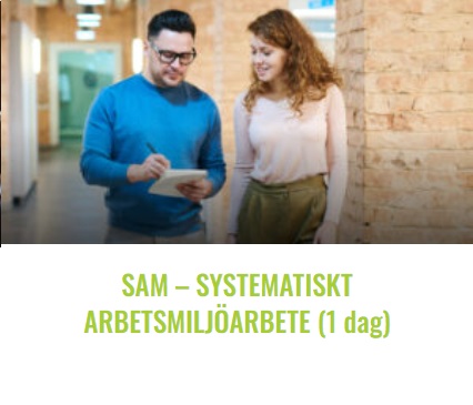 bilden sam fys