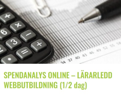 bilden spendanalys